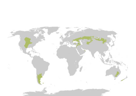 Distribución mundial de las praderas